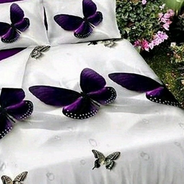 Cotton Comfort Butterfly Printed Double Bedsheet with Pillow Cover